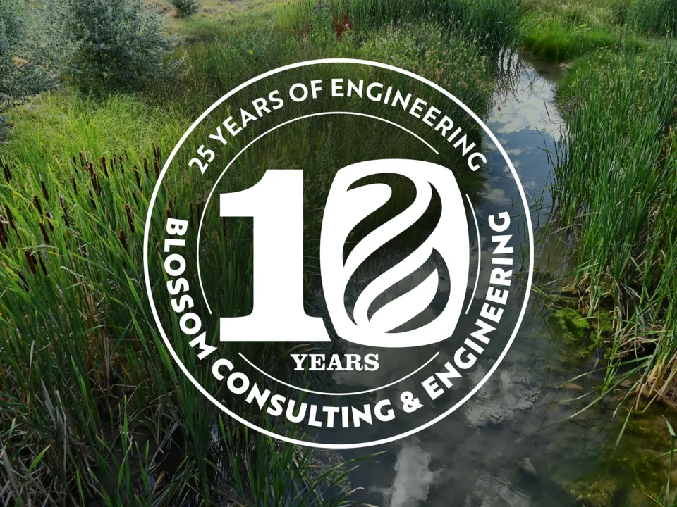 BCE Celebrating 10 Years