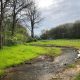 Cold Springs Stream Restoration