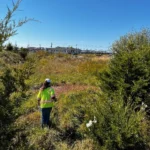 BECO-DULLES TOWN CENTER – LOUDOUN COUNTY, VIRGINIA