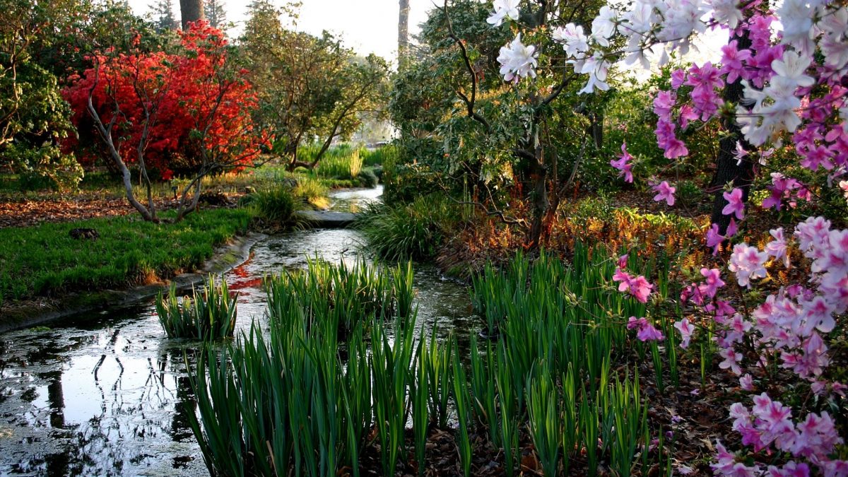 Norfolk Botanical Gardens