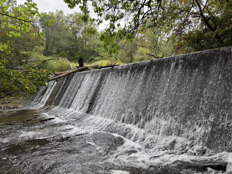US Fish and Wildlife Service