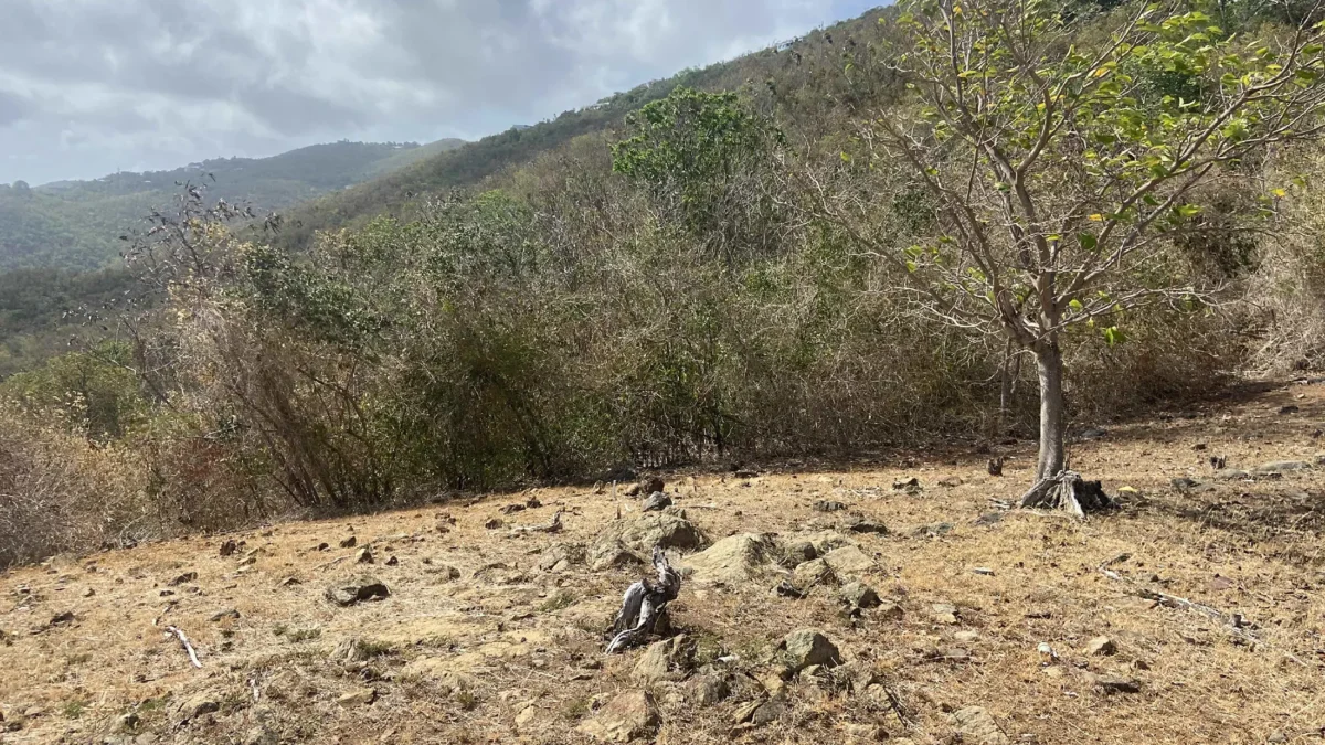 watershed analysis and site design in St. Thomas USVI