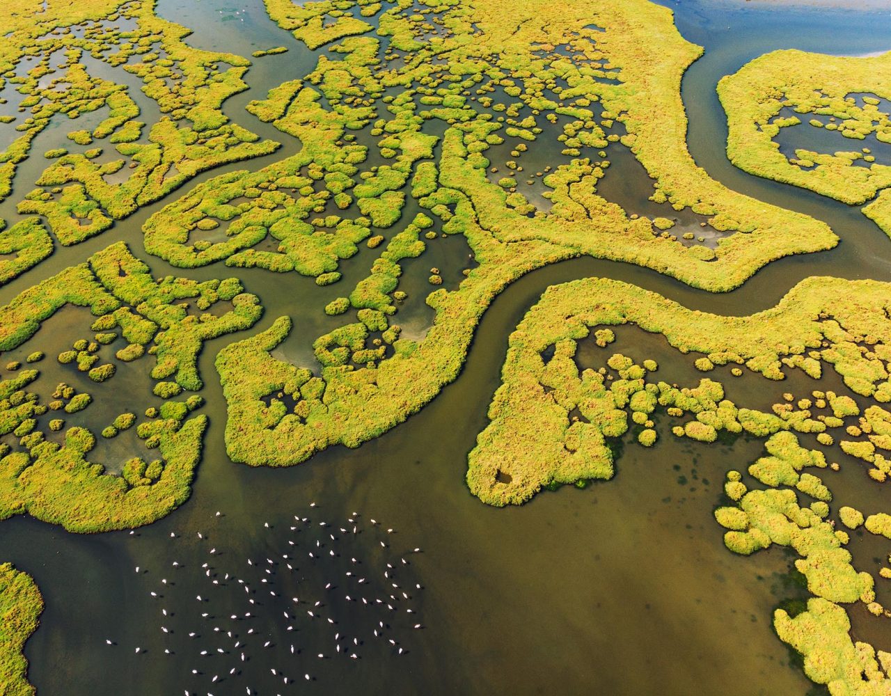 Floodplain Management