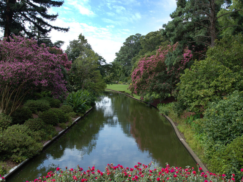 Norfolk Botanical Gardens Moat - Site Survey in Norfolk Virginia