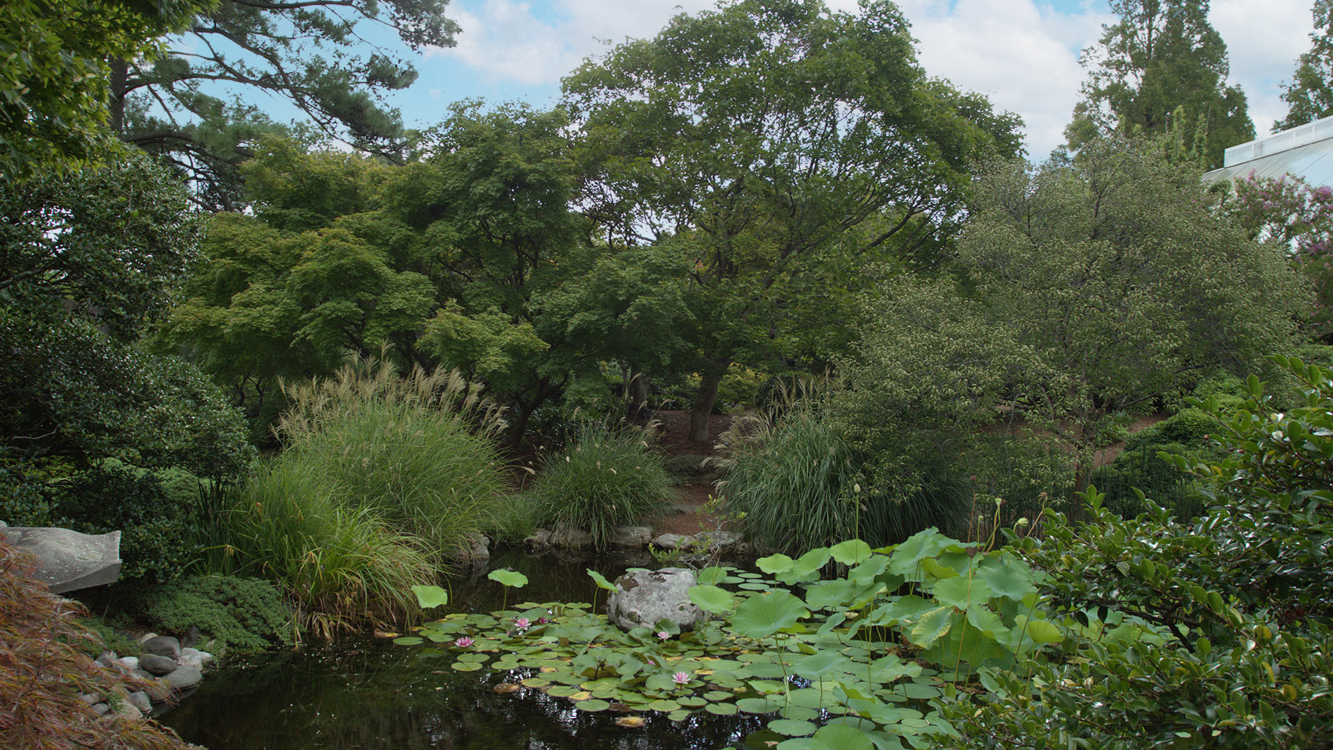Norfolk Botanical Gardens Pond - Site Evaluation